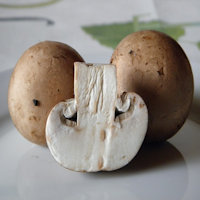 champignons-egerling.jpg